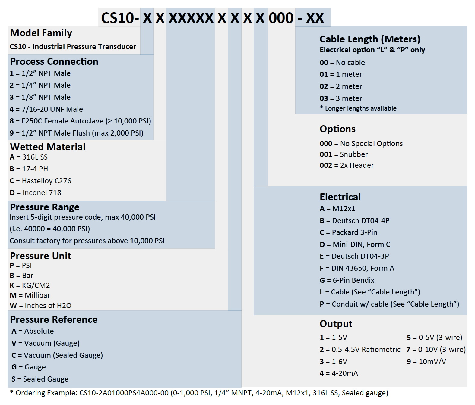CS10 Part Number Example