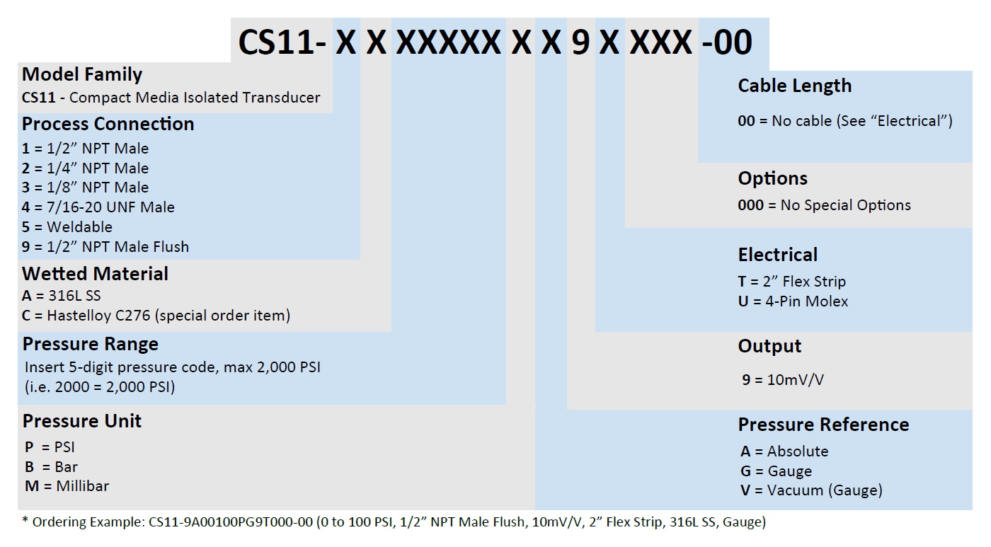 CS10 Part Number Example