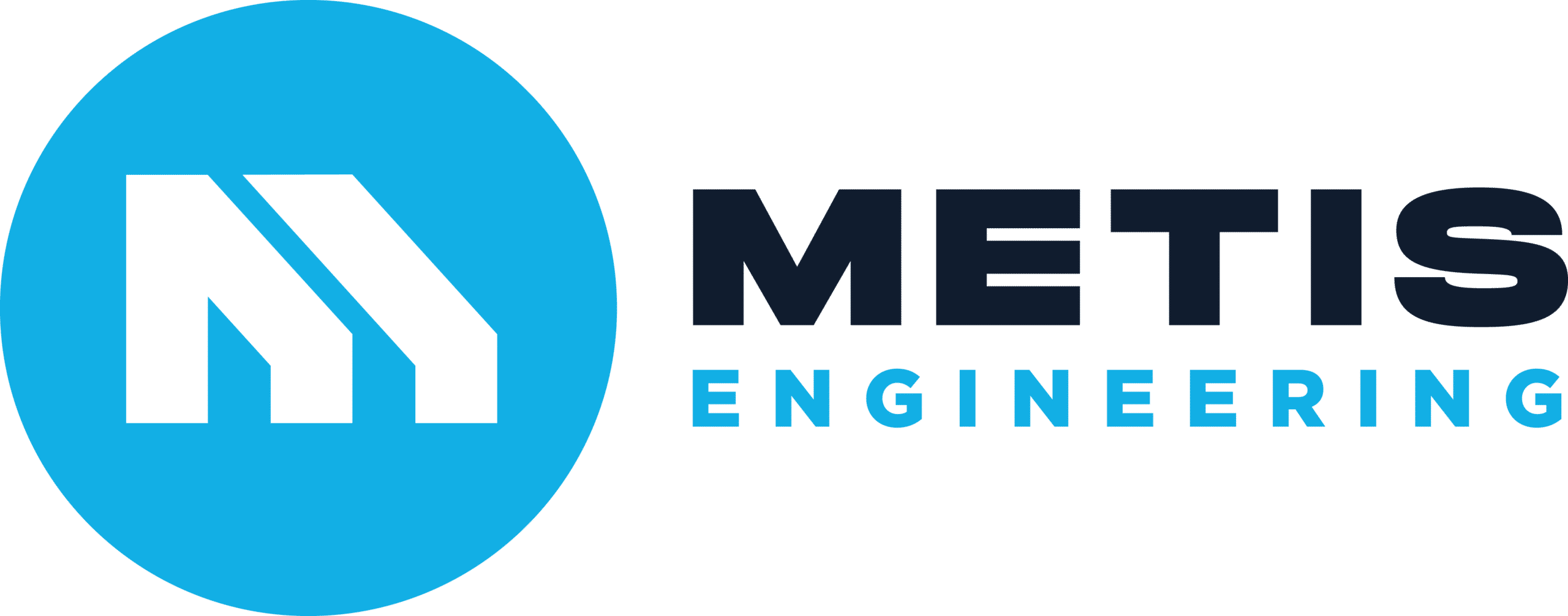 metis-final-logo-positive