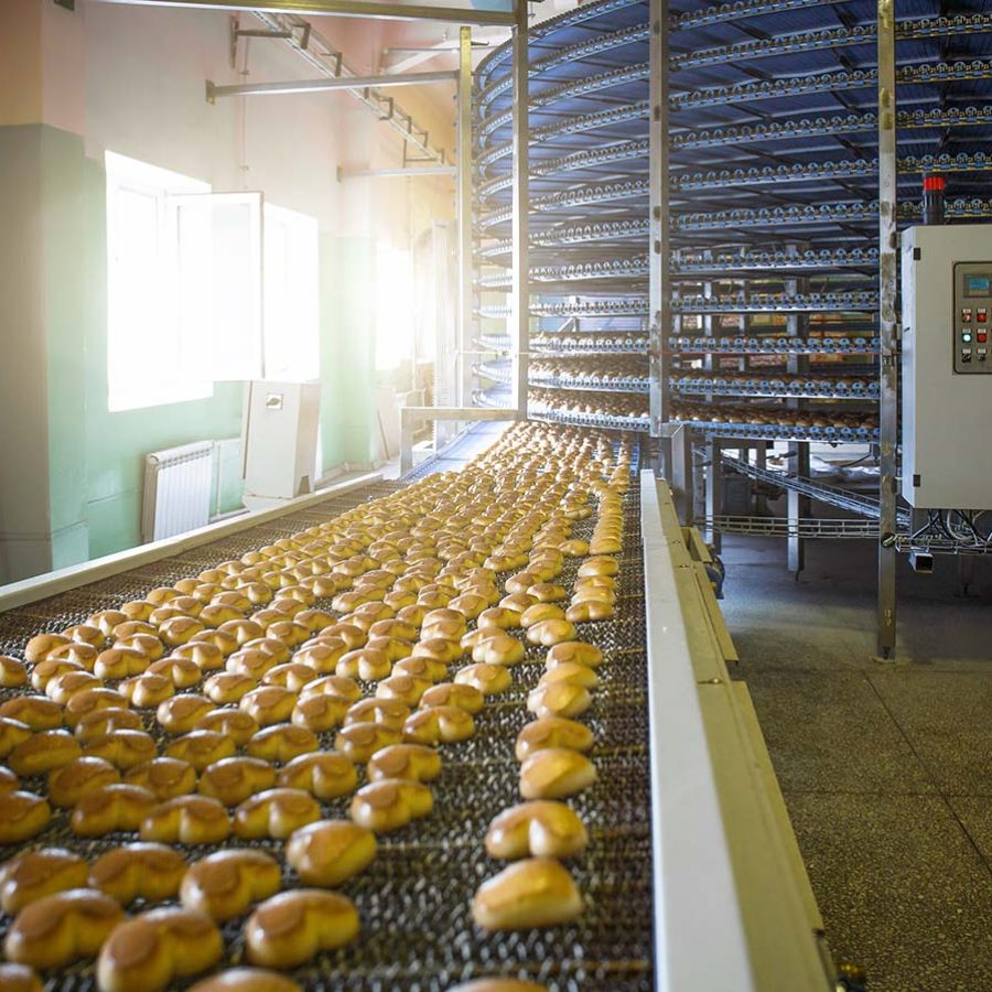 Automatic bakery production line with sweet cookies on conveyor belt equipment machinery in confectionary factory workshop, industrial food production.